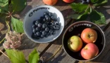 Image of Enamel Camping Dishes Set