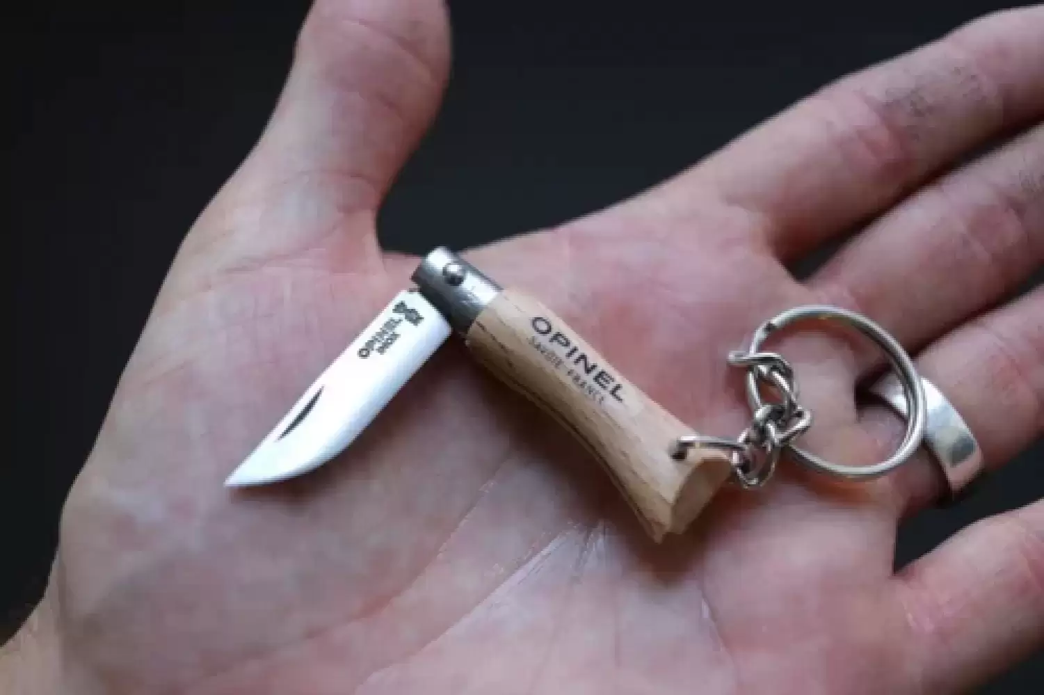 Image of Keyring Hiking Keychain
