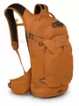 Image of Raptor 10 II Backpack