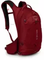 Image of Raptor 10 II Backpack