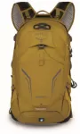 Image of Syncro 20 II Backpack