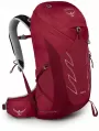 Image of Talon™ 26 Hiking Backpack
