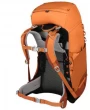 Image of Ace 38 II Backpack