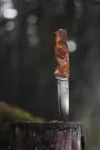 Image of Alden Hunting Knife