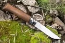 Image of Stainless Steel Walnut Travel Knife