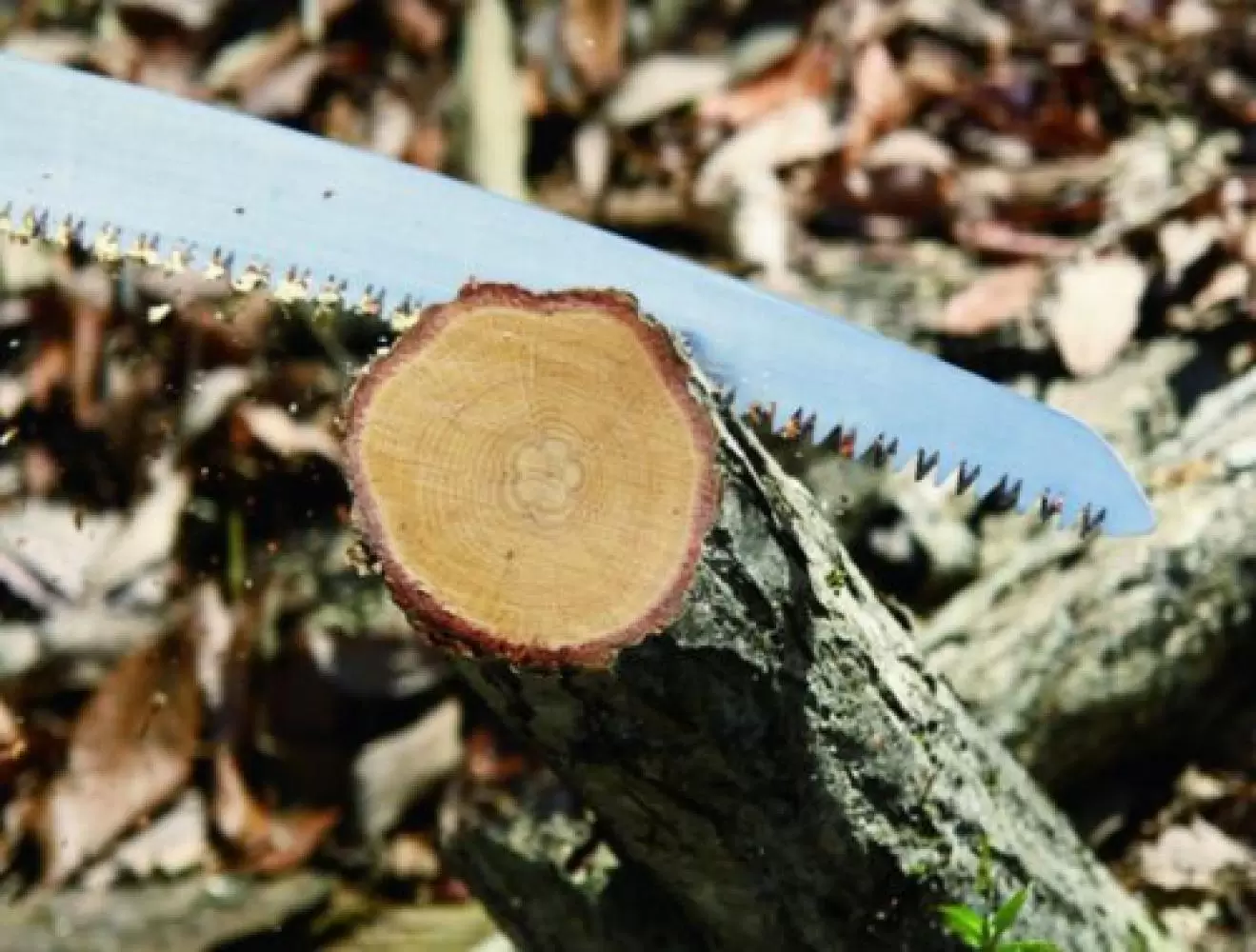 Фото для Походная пила Bigboy 2000