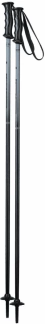 Image of Rock Rod Ski Poles