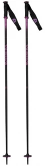 Image of Electra Premium Ski Poles