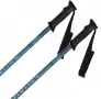 Image of Tactic Ski Poles