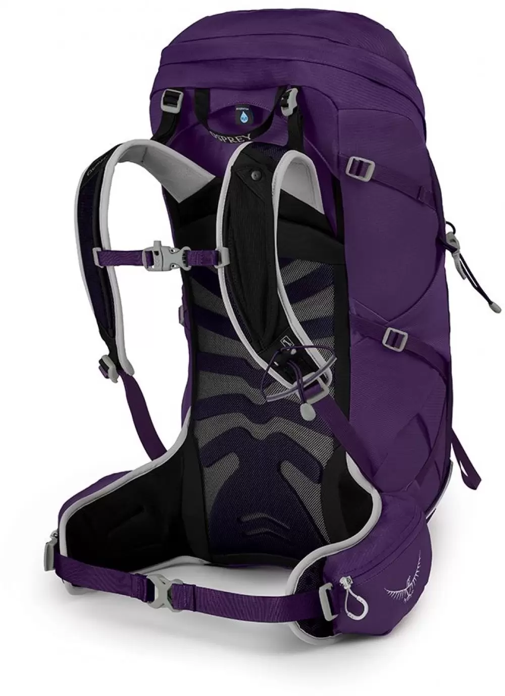 Image of Tempest 34 Light Trekking Backpack