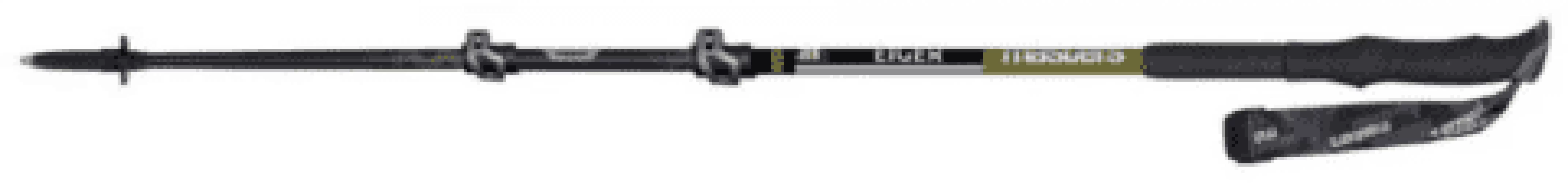 Image of Eiger Trekking Poles