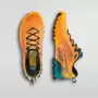 Imagine pt. Pantofi de trail running Bushido III GTX