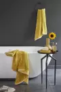 Imagine pt. Prosop Tournesol