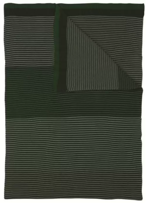 Blockstripe Throw Plaid