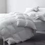 Imagine pt. Plapumă