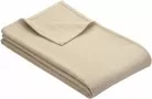 Фото для Cotton Blanket Turin with GOTS certificate