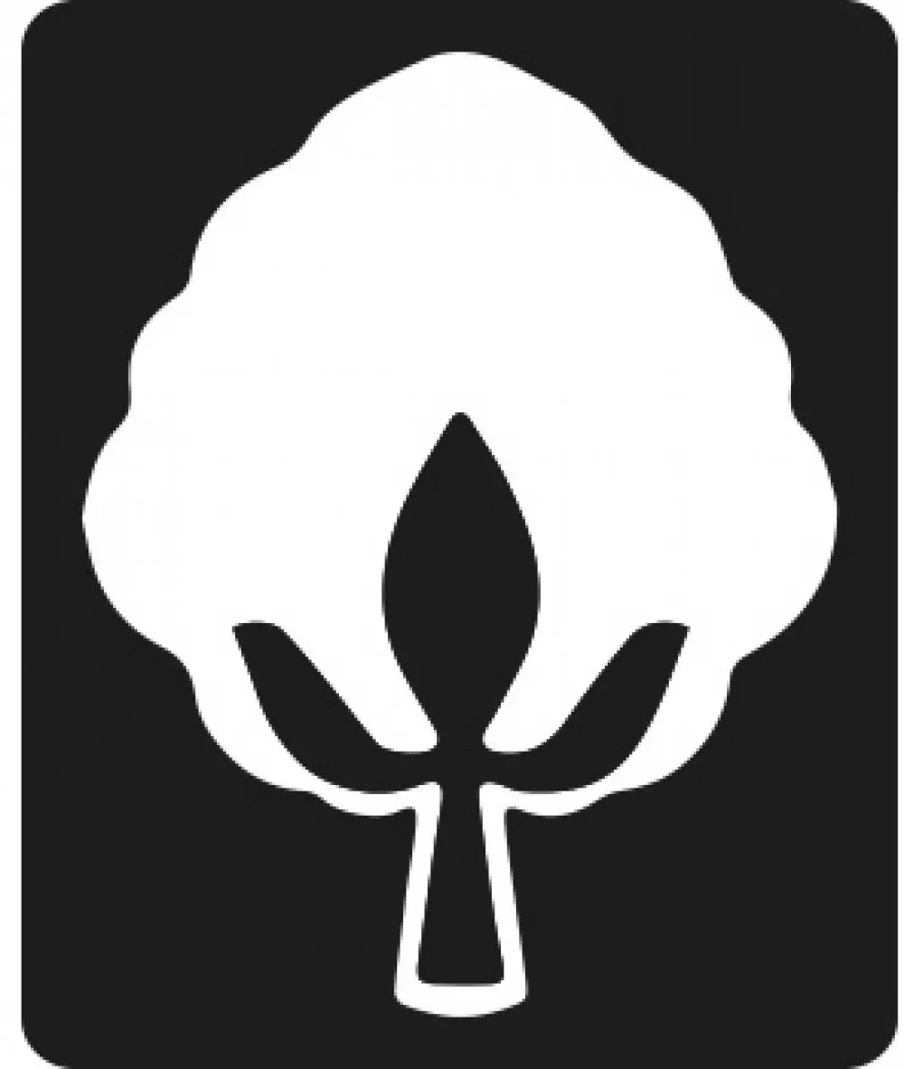 Image of Lunta Blanket