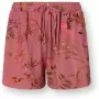 Image of Delhi Dreams Shorts