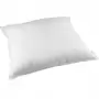 Image of Liv Pillow
