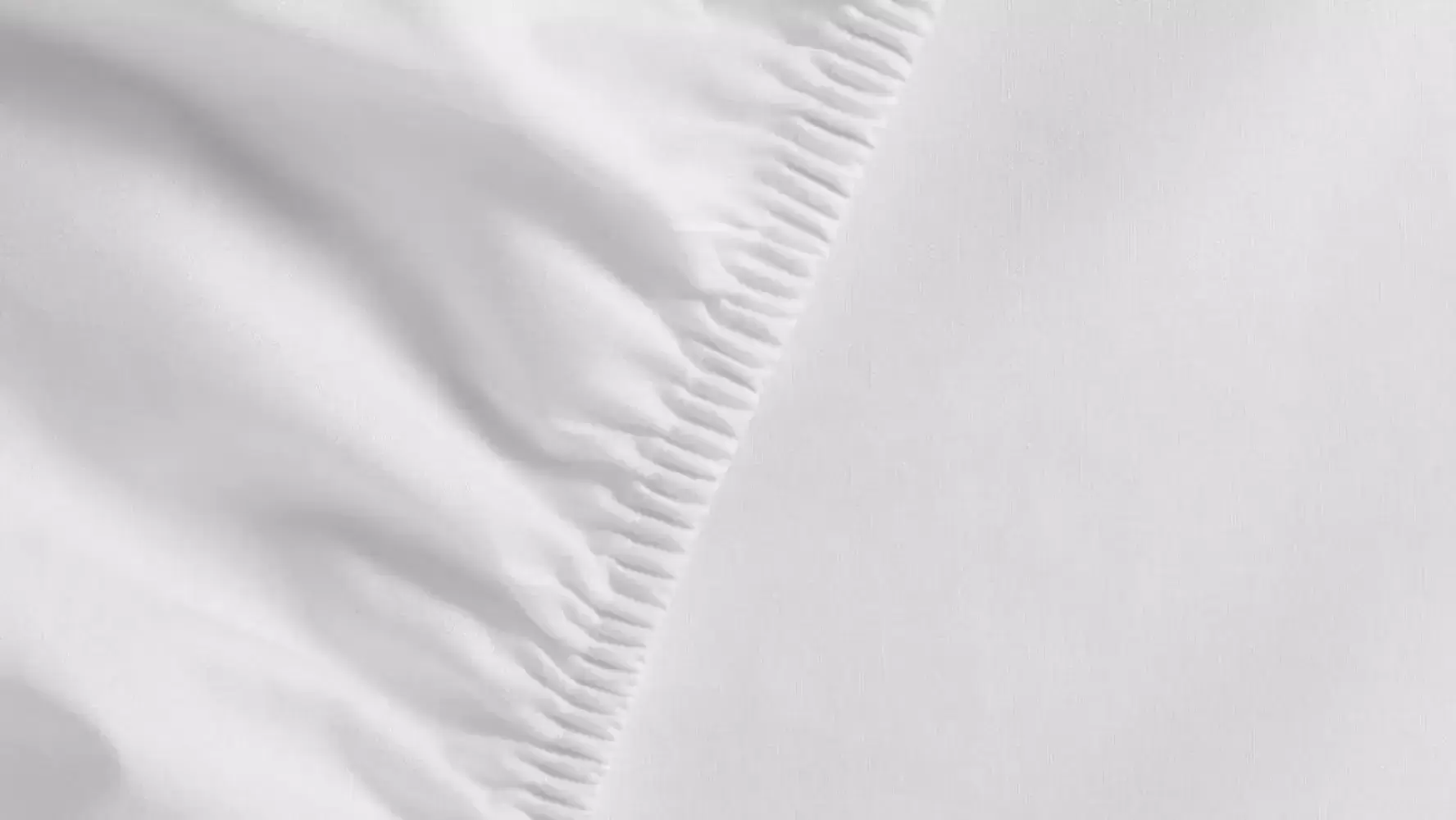 Image of Cotton Uni Sheet with Elastic