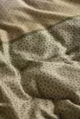 Image of Carter Sheets Bedding