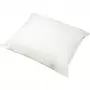 Image of First Nature Pillow
