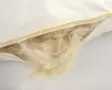 Image of First Nature Pillow