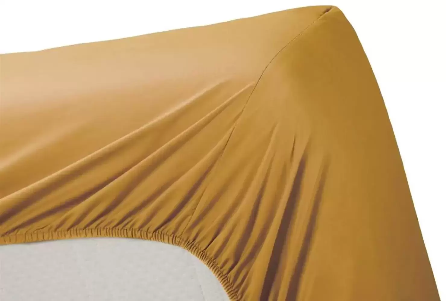 Image of Cotton Uni Sheet with Elastic