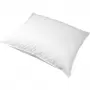 Image of Kookvast Pillow