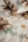 Image of Tuuli Sheets Bedding