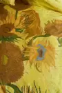 Imagine pt. Lenjerie de pat Tournesol