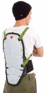 Image of Active Shield 01 Evo Back Protection