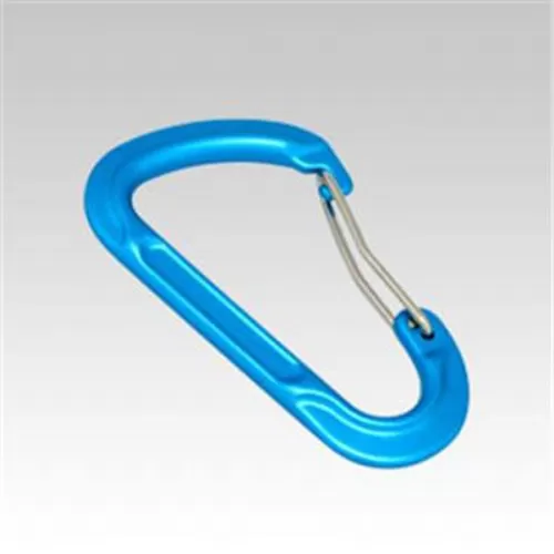 Forged D-Shaped Carabiner Hiking Keychain