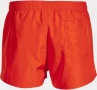 Image of Bermuda swim shorts Road