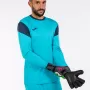 Image of Goalkeeper gloves PREMIER