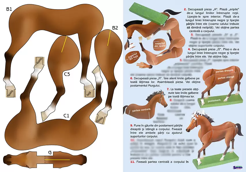 Imagine pt. eSpiriduşii-07. Calul – ajutorul fidel al omului (partea 2)