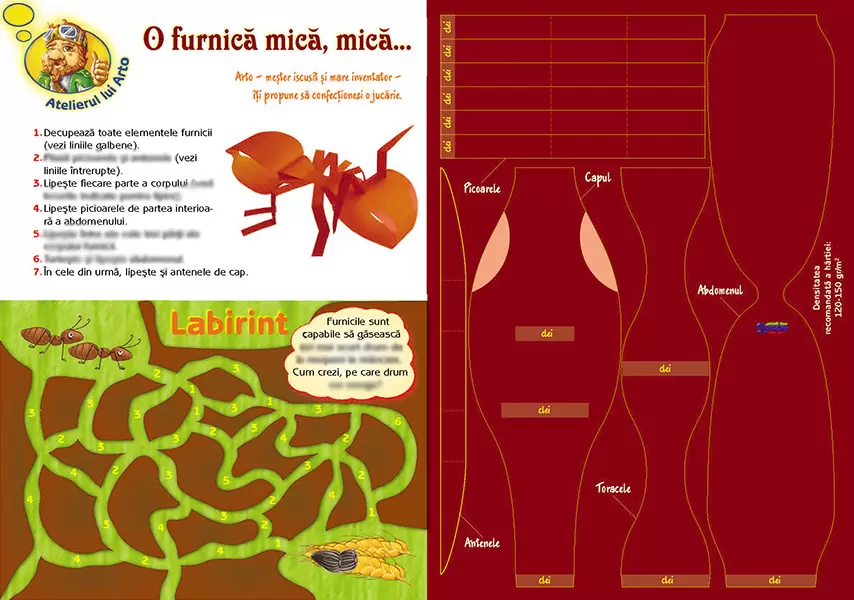 Imagine pt. eSpiriduşii-11. Insecte cu spirit de echipă